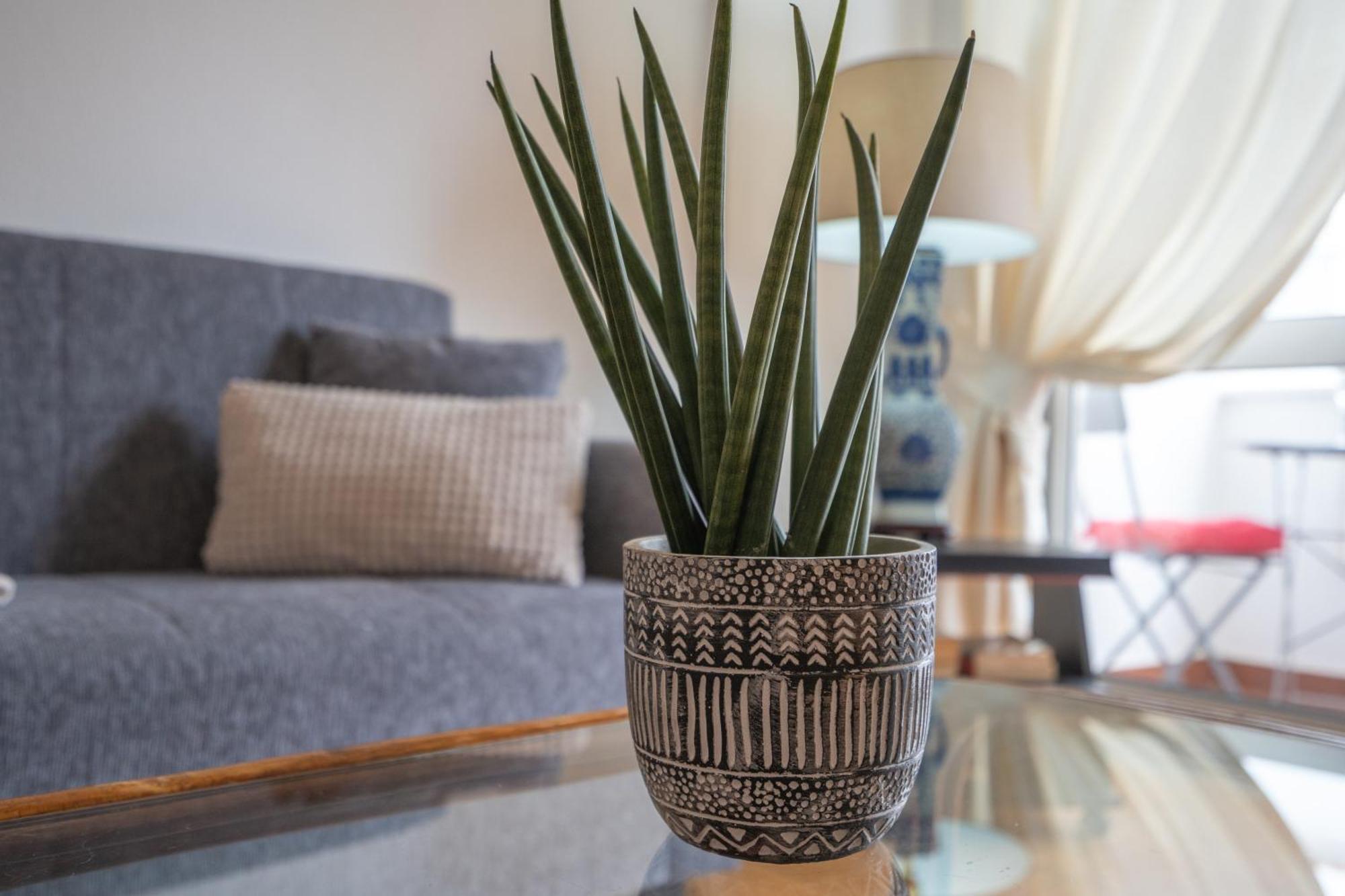 Apartamento Escadinhas *